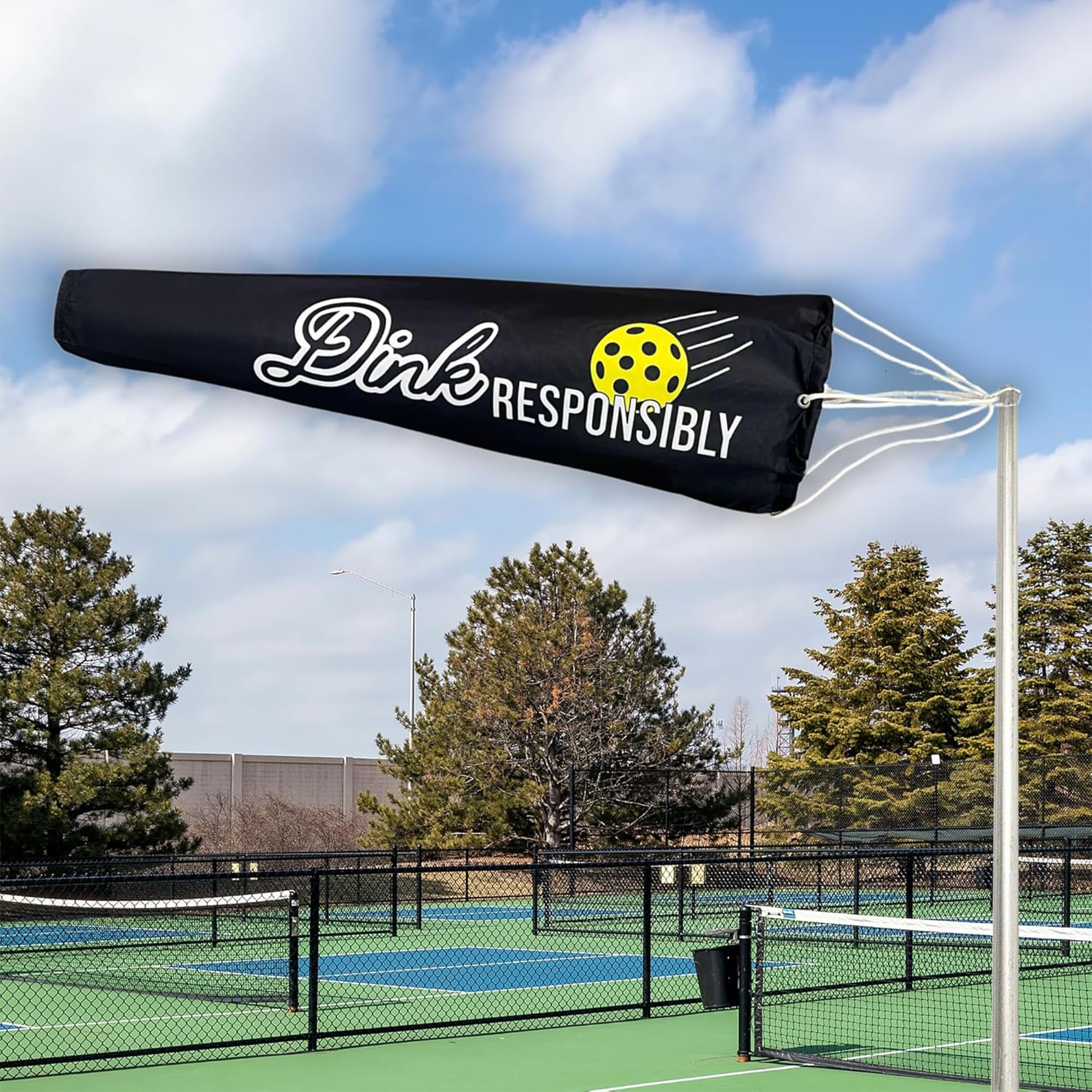 Amazon.com : Pickleball Windsock Flag 10